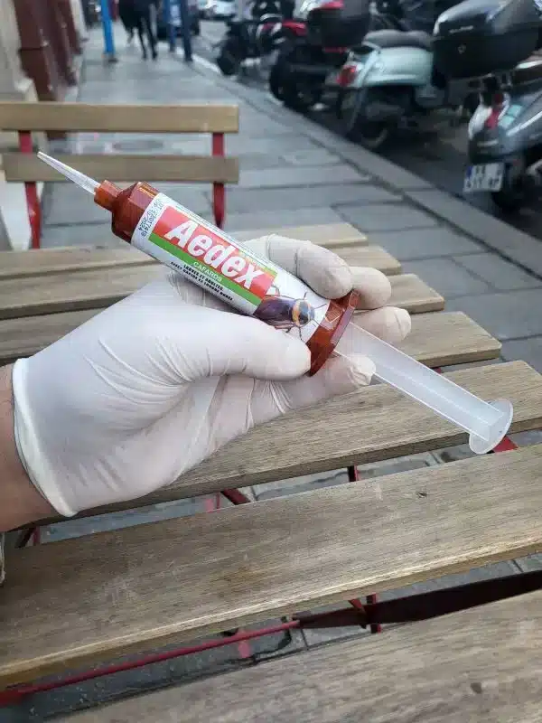 produit anti cafard puissant