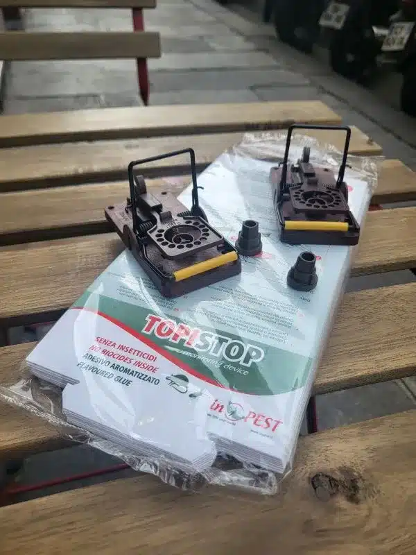 dératisation souris