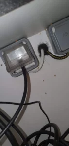 rebouchage trous souris xcluder dans un restaurant avec laine d'acier