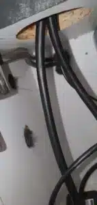 rebouchage trous souris xcluder dans un restaurant avec laine d'acier
