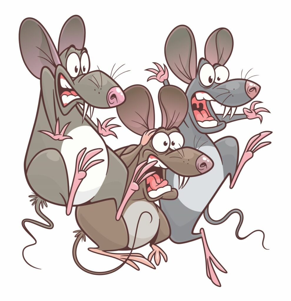 piege a souris