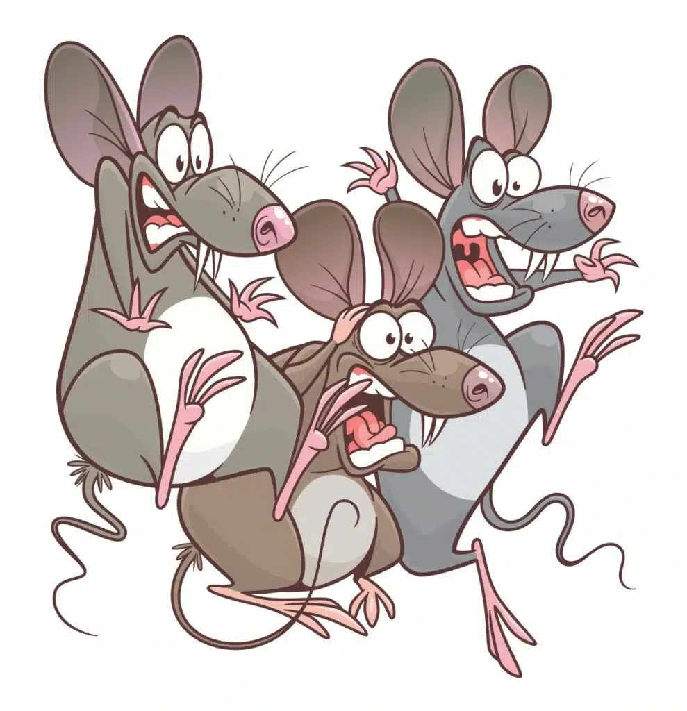 piege a souris