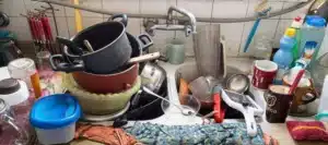 Comment éviter une infestation de cafards ?