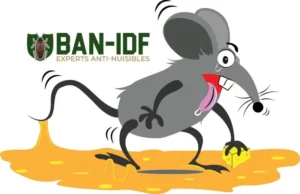 Comment utiliser un piège collant pour souris