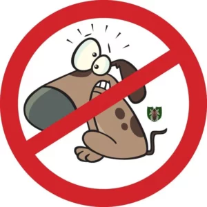 Quel est le meilleur répulsif pour chien