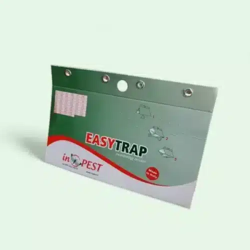 EasyTrap piège mite alimentaire avec attractif