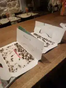 Contrat obligatoire dératisation et désinsectisation pour un restaurant à Paris