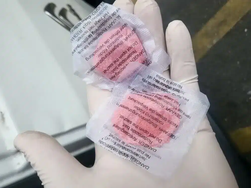 poison pour souris