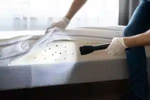 Détection de Punaises de Lit, 2023 et 2024