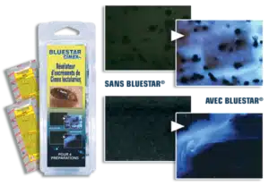 détection de punaises de lit bluestar cimex