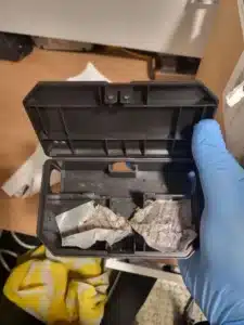 poison souris