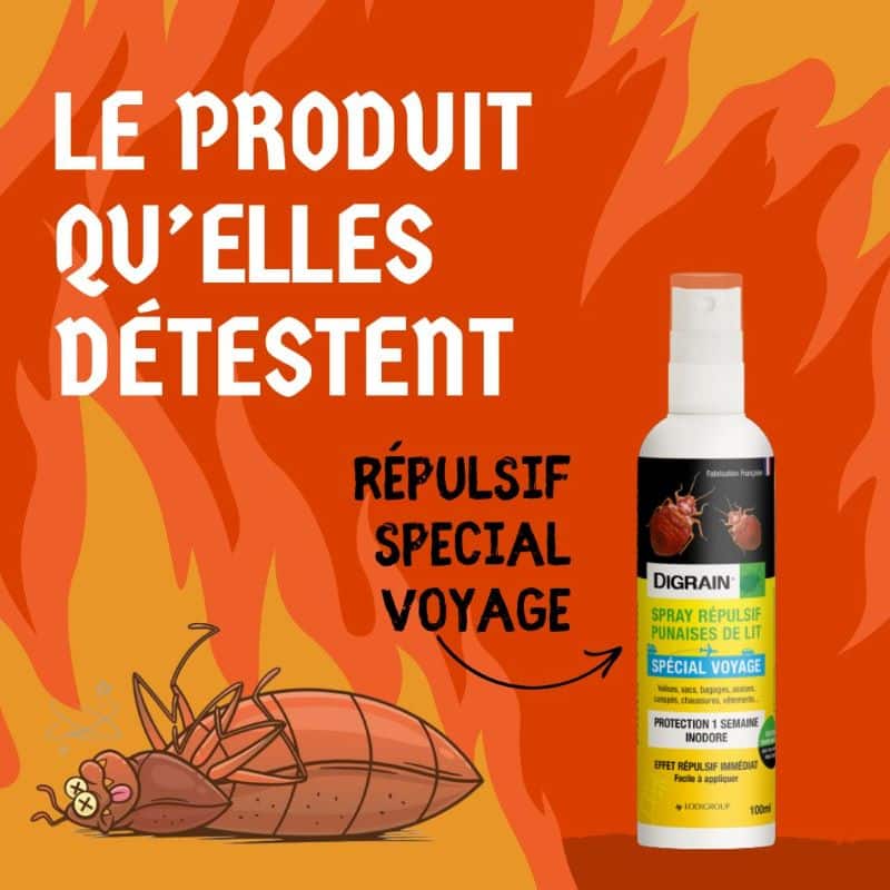 Les Odeurs Que Les Punaises de Lit Détestent