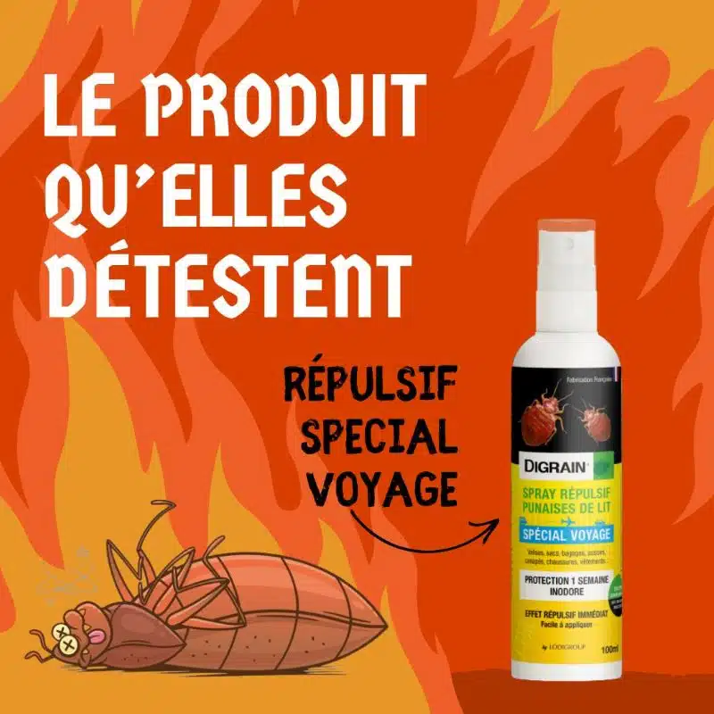 Les Odeurs Que Les Punaises de Lit Détestent