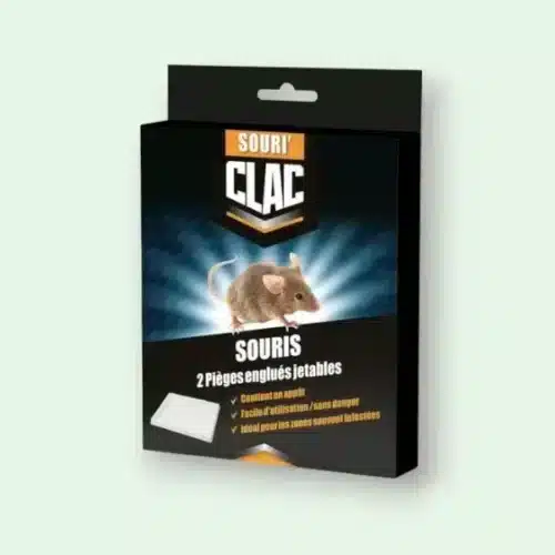 lot de 2 pièges collants pour souris CLAC Souris