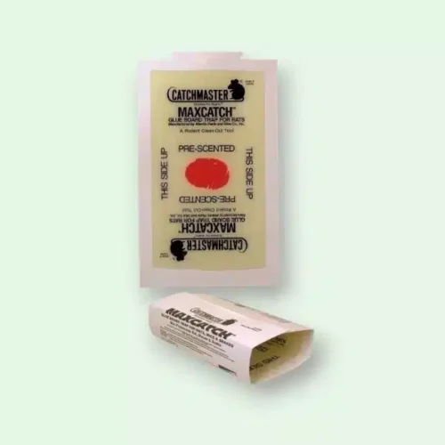 piege a rat collant catchmaster 24grb
