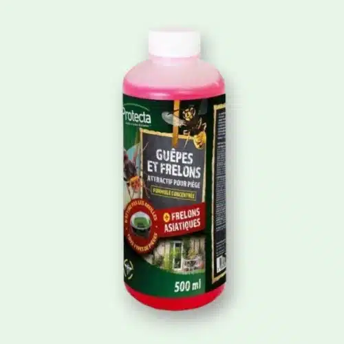 recharche appât liquide attractif protecta frelons asiatiques