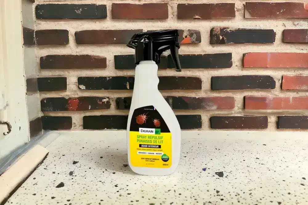 spray anti punaise de lit
