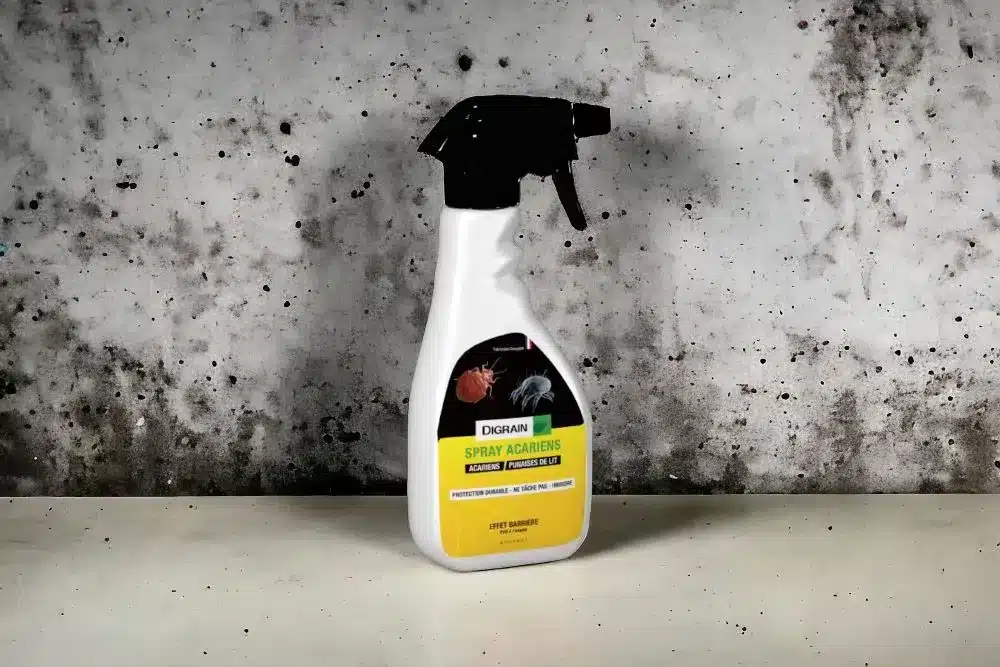 spray anti punaise de lit