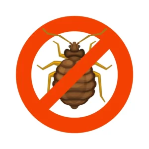 Un Spray Pour Punaise de Lit