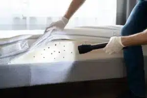 Traiter les Traces de Punaises de Lit sur les Murs et Matelas