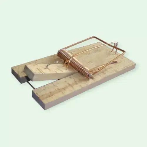 tapette pour rats en bois
