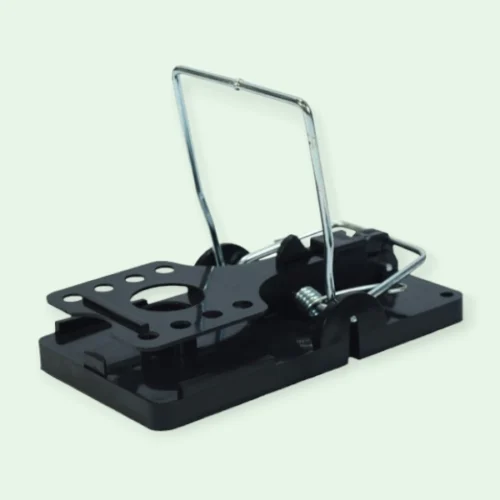 tapette pour rats en plastique