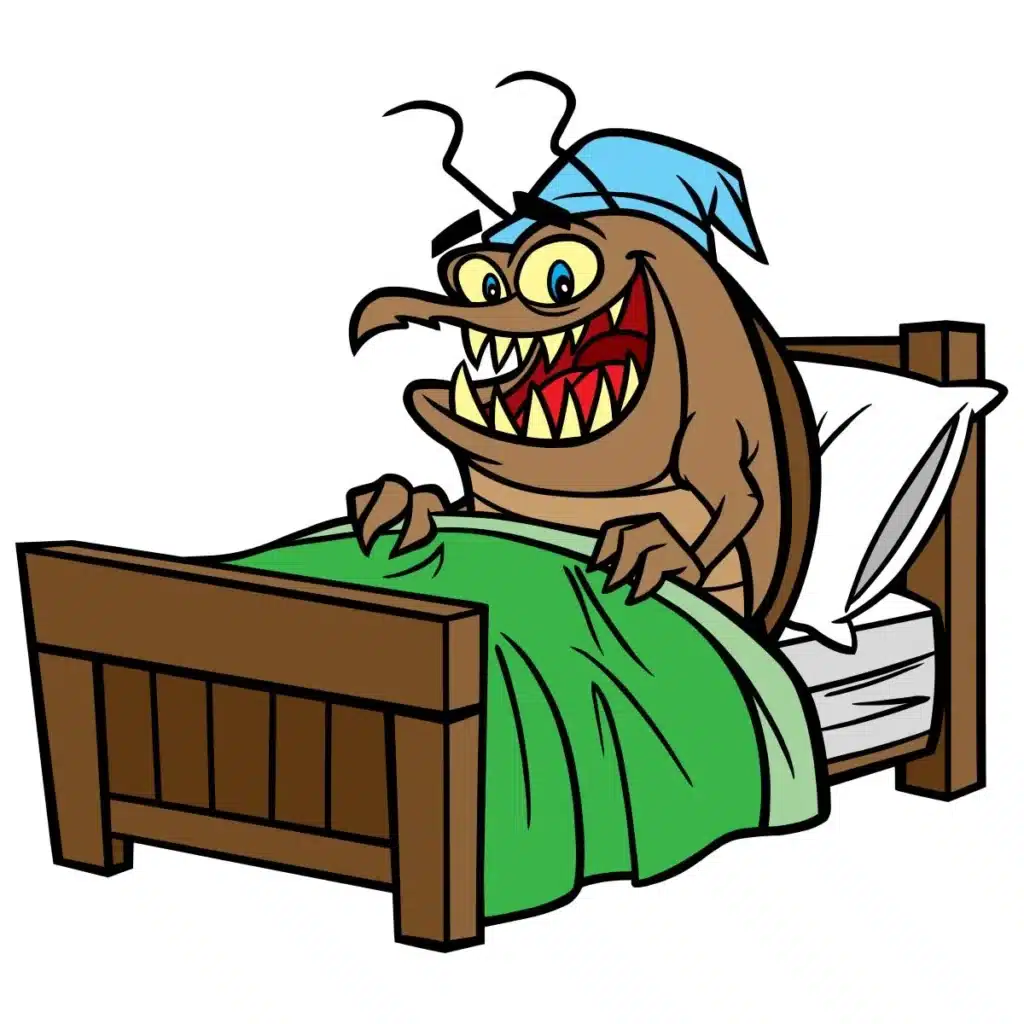 Comment savoir s'il y a des punaises dans mon lit