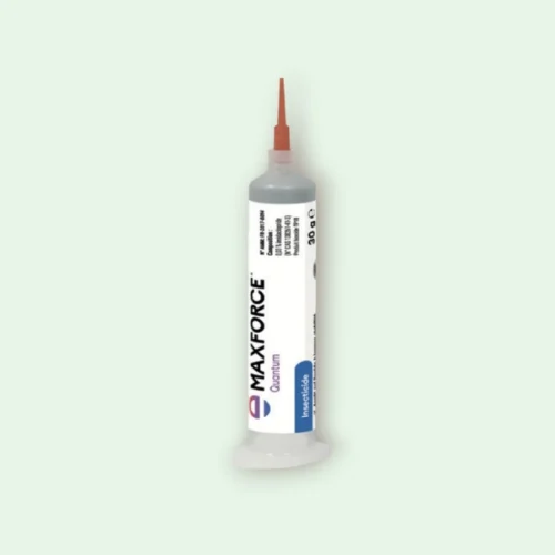 Maxforce Quantum gel anti fourmis charpentières efficace