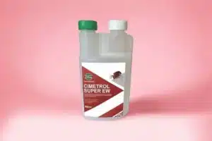 Quel est le produit le plus efficace pour tuer les puces de lit ?