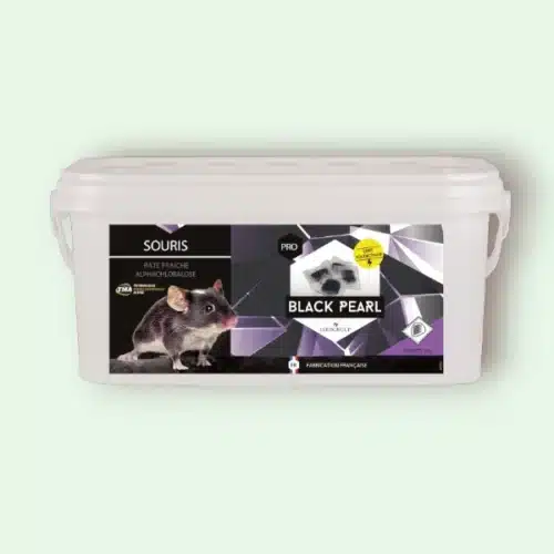 Black Pearl Pasta 1kg – Appât Foudroyant en Pâte pour les Souris