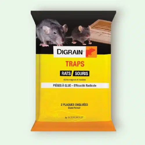 DIGRAIN® Traps – Pièges Collants Spécial Rats