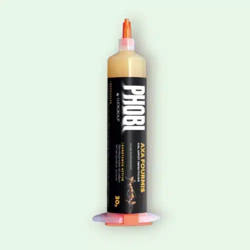 PHOBI AXA Fourmis 30g