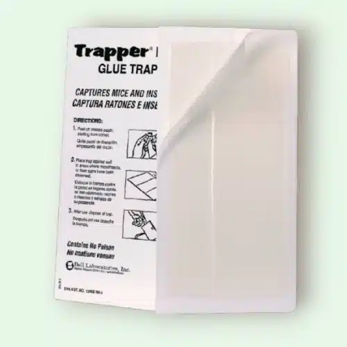TRAPPER® LTD – Plaques Collantes pour Souris, Lot de 10