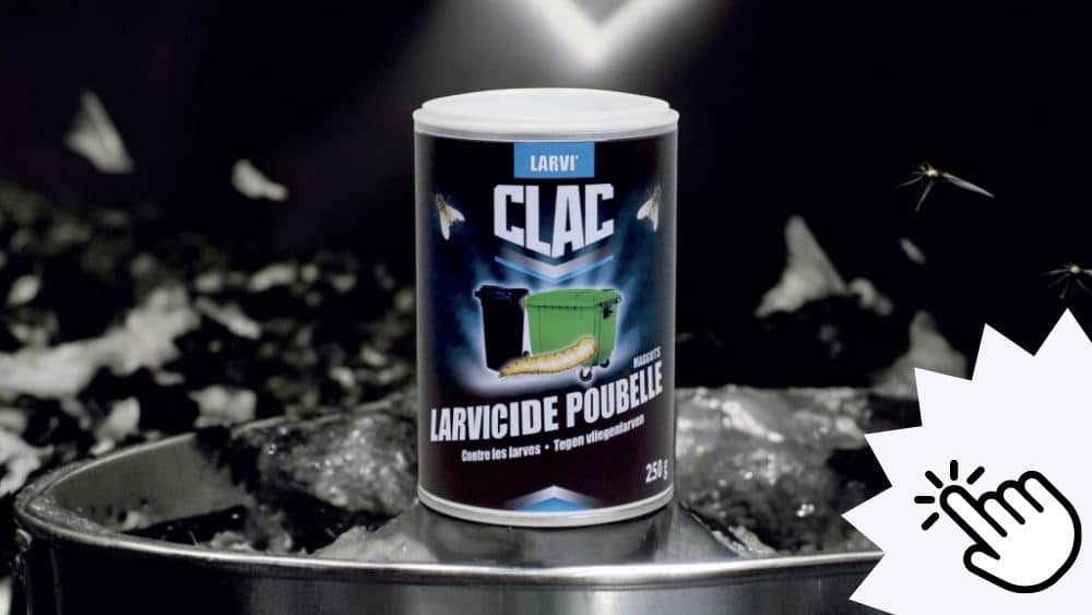 Les astuces pour éloigner les mouches des poubelles