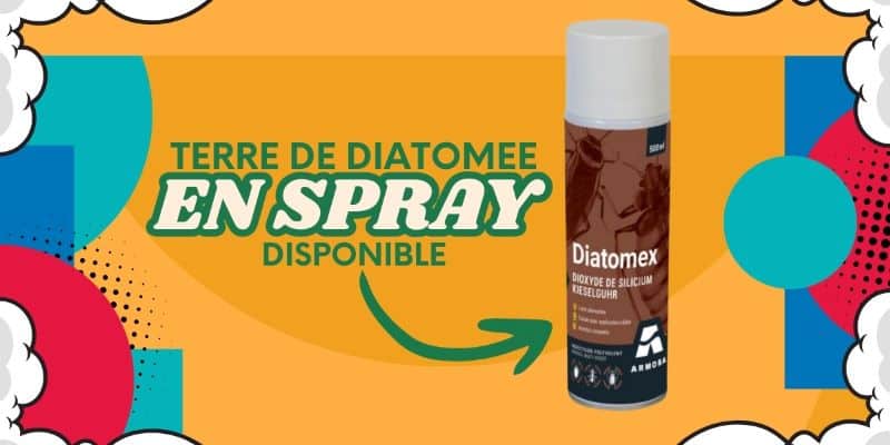 terre de diatomée