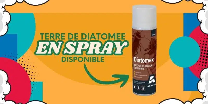 terre de diatomée