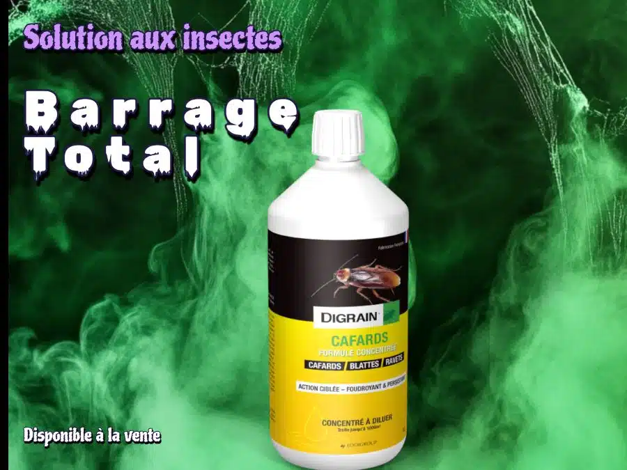 barrage aux insectes