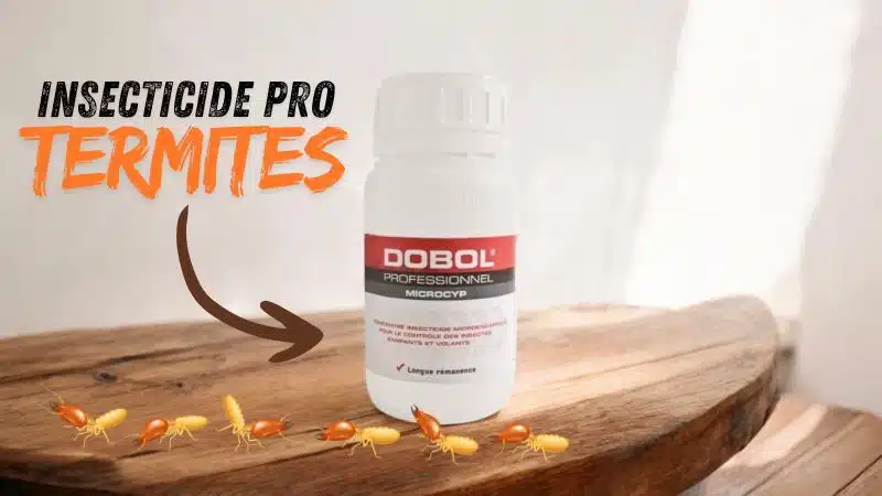 insecticide anti termite