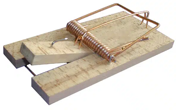 tapette souris en bois