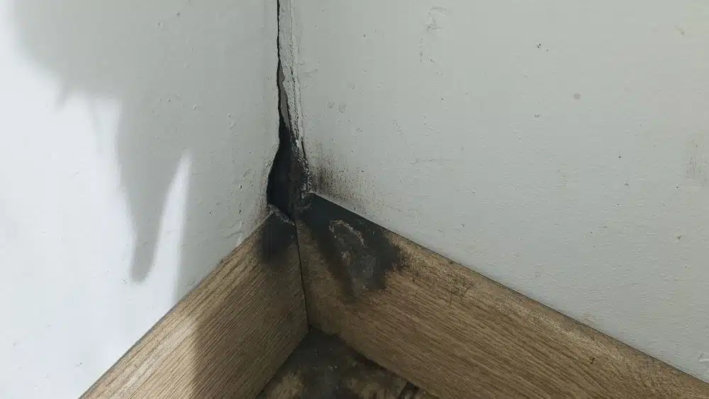 trou de souris