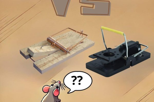 Comparatif Tapette souris en bois VS Tapette souris plastique